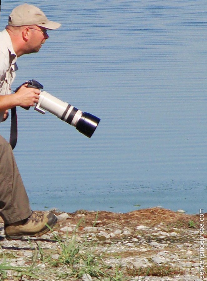Fotograf auf der Suche nach Vögeln