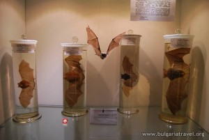 Museo de Espeleología kárstica de Bulgaria