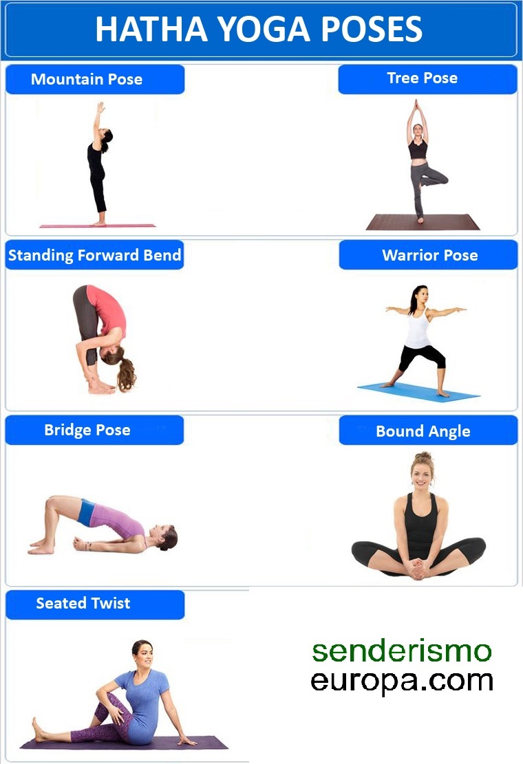 Tipos de Yoga: Hatha Yoga