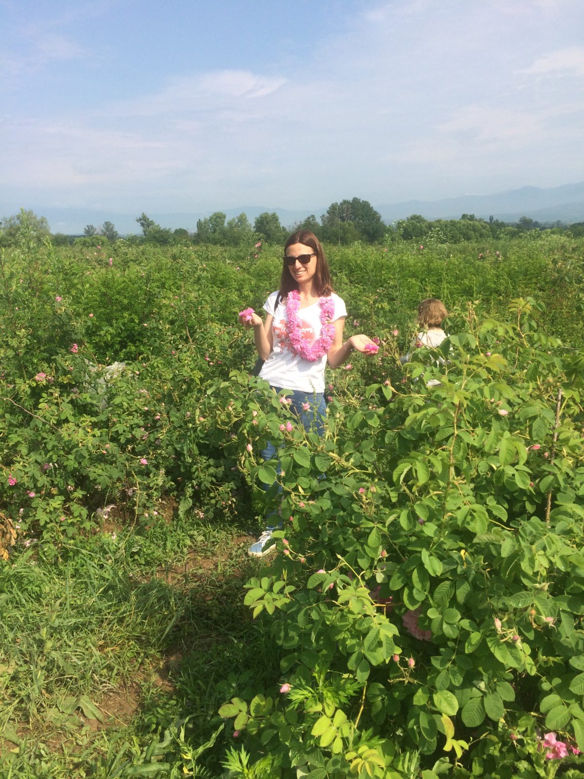 Festival de la Rosa de Kazanlak